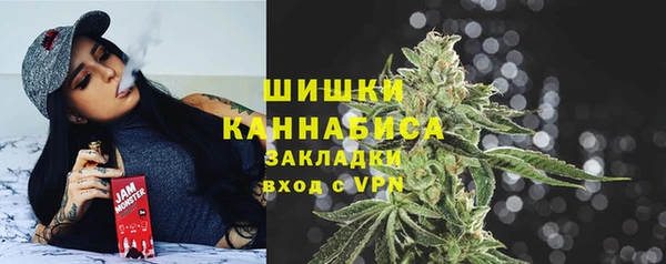 стафф Богданович